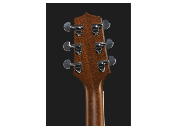 takamine-ef360gf-glenn-frey-w-softcase_68ade035a8051.jpg