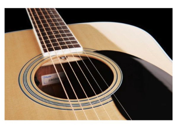 takamine-ef360gf-glenn-frey-w-softcase_68ade03e299c2.jpg