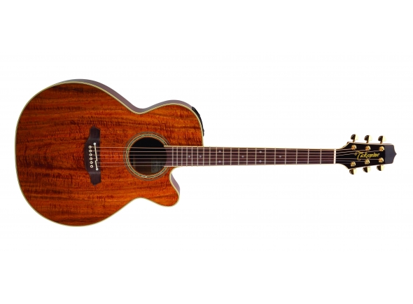 takamine-ef508kc_5b3e4983b3914.jpg