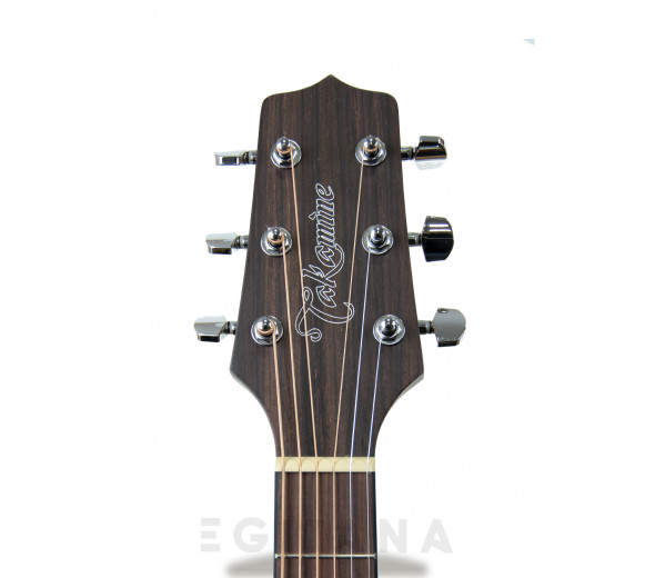 takamine-gd10ce-n_605b557a15329.jpg