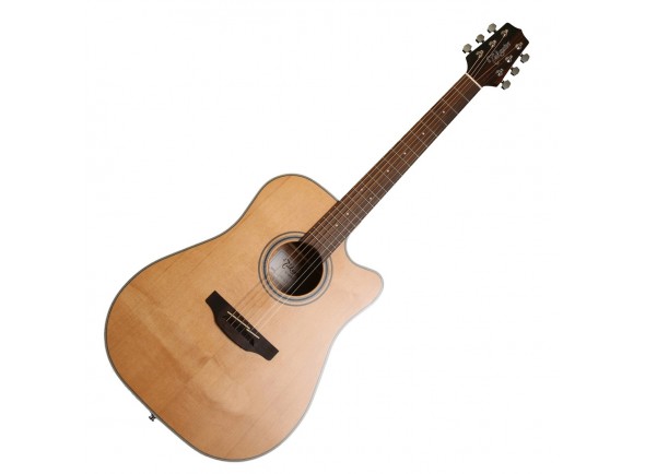 takamine-gd20ce-n_5fce3584d6fcd.jpg