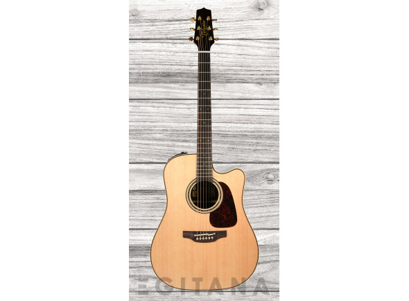 takamine-p5dc_635fea60cd0f4.jpg