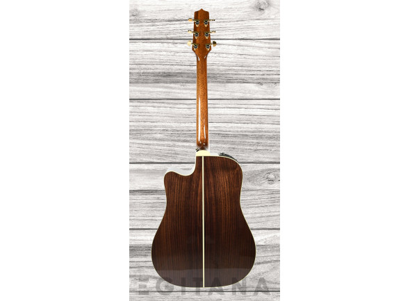 takamine-p5dc_635fea62d0de7.jpg