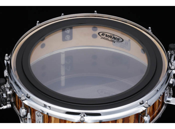 tama-lmp164l-slp-duo-snare-maple-syrup-16_652d6a2d61229.jpg