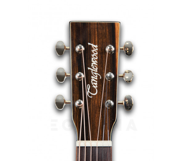 tanglewood-java-exotic-twjfe_6011420255255.jpg