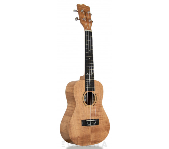 tanglewood-tiare-twt-6_605dc65c21f41.jpg