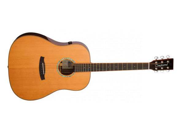 tanglewood-trs5se_69b80c8e91acf.jpg