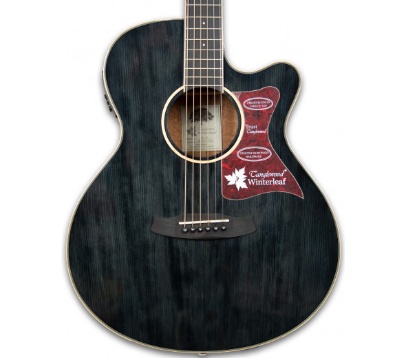 tanglewood-tw4-bs_60114d8432da0.jpg