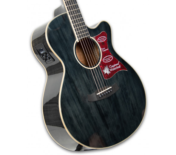 tanglewood-tw4-bs_60114d85cced2.jpg