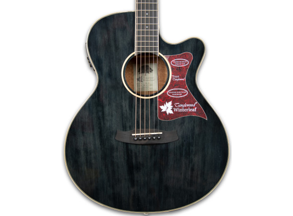 tanglewood-tw4-bs_62b5cef85da8c.jpg