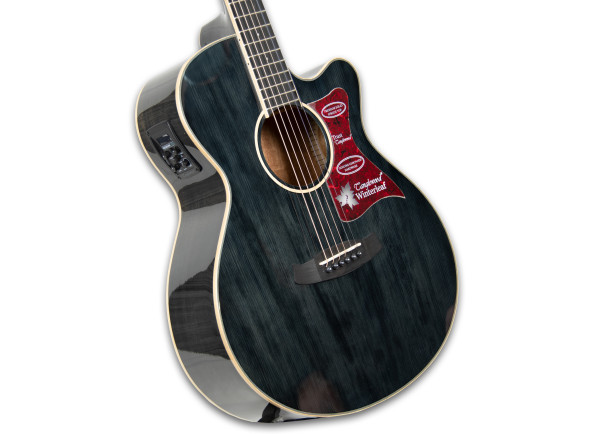 tanglewood-tw4-bs_62b5cef965329.jpg