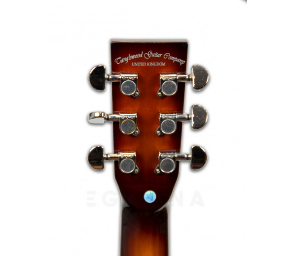 tanglewood-tw4-koa_601152b9beb64.jpg