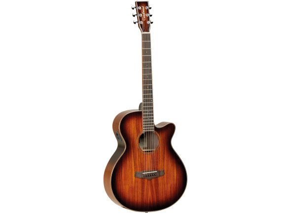 tanglewood-tw4cekoa_6617b982de5bf.jpg