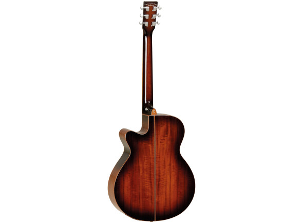 tanglewood-tw4cekoa_6617b986c1d32.jpg