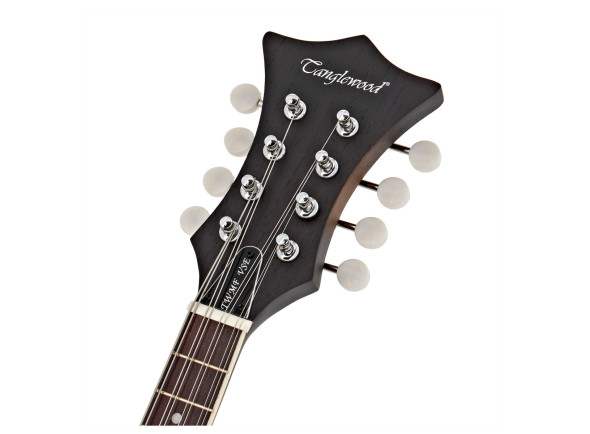 tanglewood-twmf-vse-union-series-vintage-sunburst_686f77d9b24a6.jpg