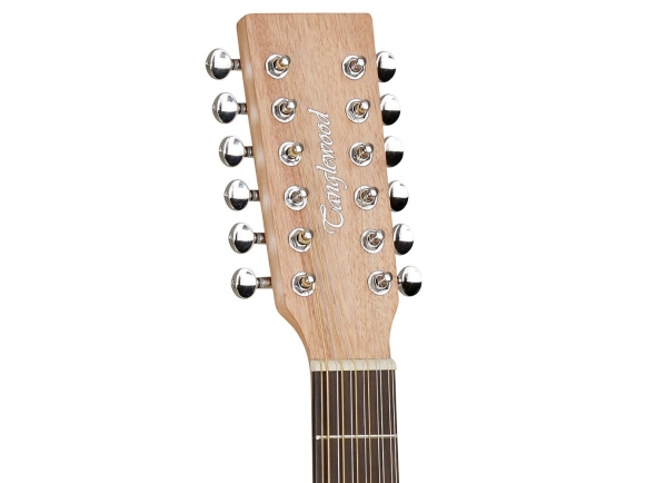 tanglewood-twr-sf-ce_5b7d6f6c9b126.jpg