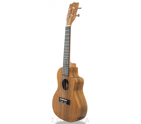 tanglewood-twt-12e_605dd4d974a38.jpg