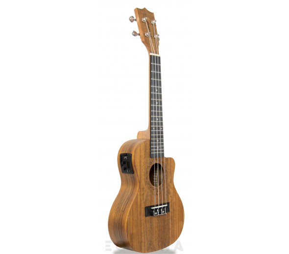 tanglewood-twt-12e_605dd4db6996f.jpg