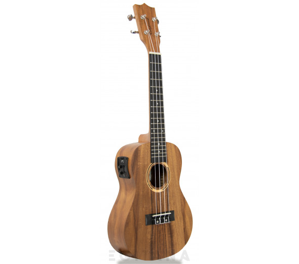 tanglewood-twt-8-e_6061a666b8520.jpg