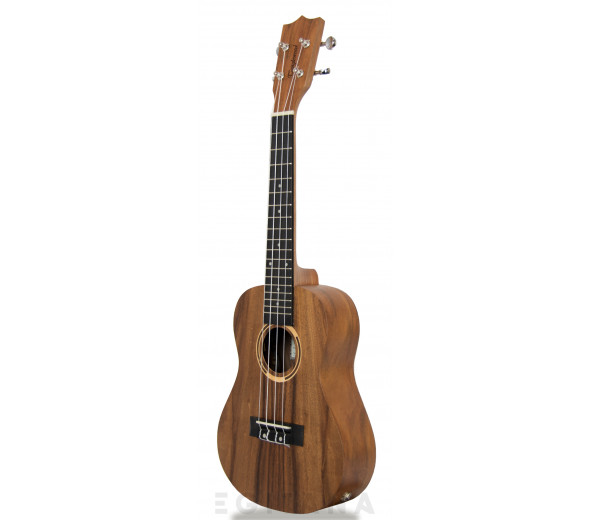 tanglewood-twt-8-e_6061a668731b8.jpg