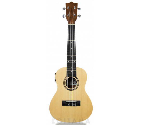 tanglewood-twt-9-e_605e27cdb41ea.jpg