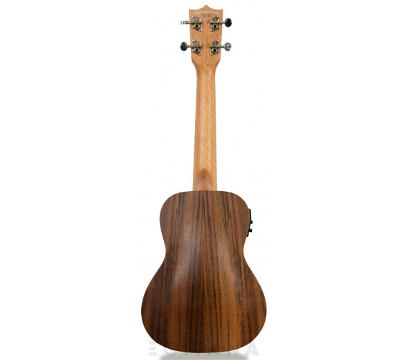 tanglewood-twt-9-e_605e27ce91088.jpg