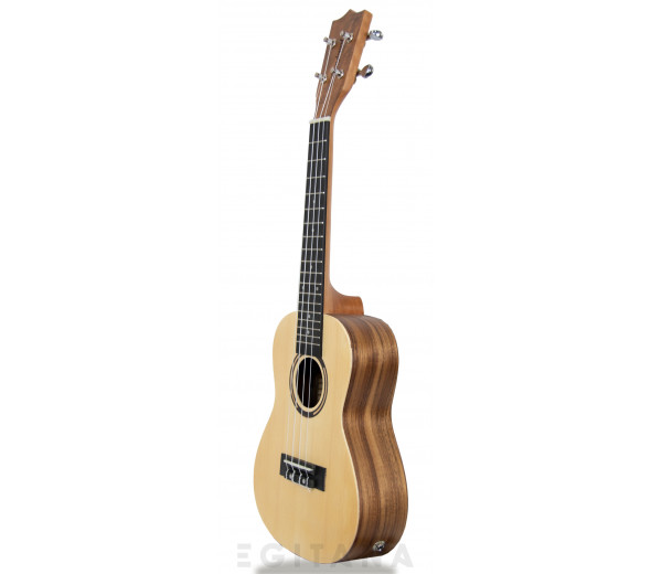 tanglewood-twt-9-e_605e27cf7072d.jpg