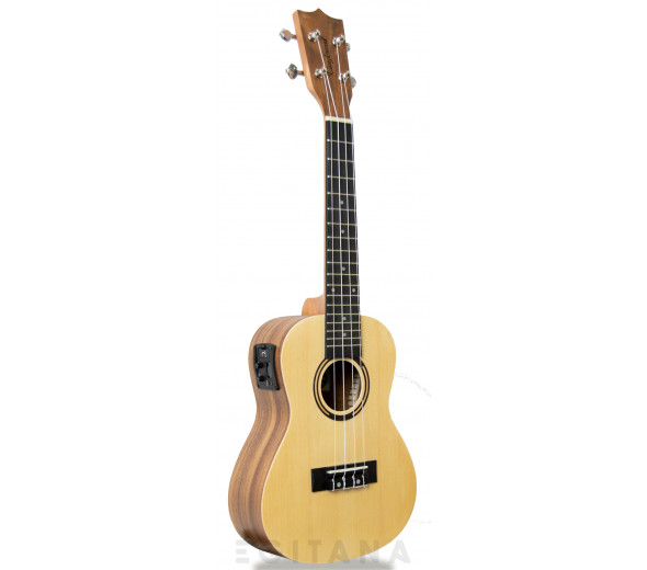 tanglewood-twt-9-e_605e27d04d21e.jpg