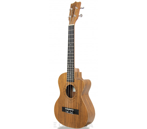 tanglewood-twt14e_605dcd65b324f.jpg