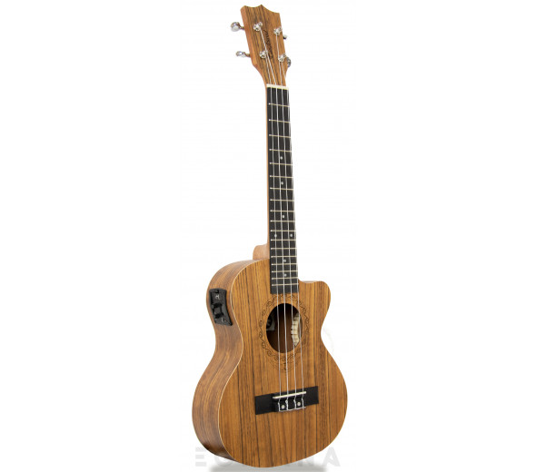 tanglewood-twt14e_605dcd6774fac.jpg