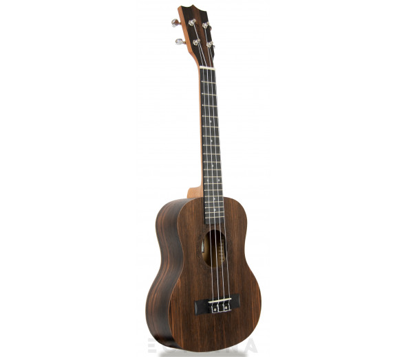 tanglewood-twt19_6061968761222.jpg