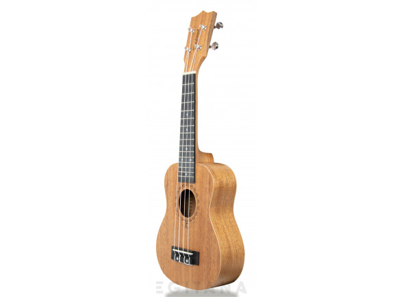 tanglewood-twt1_6061b706ee1f7.jpg