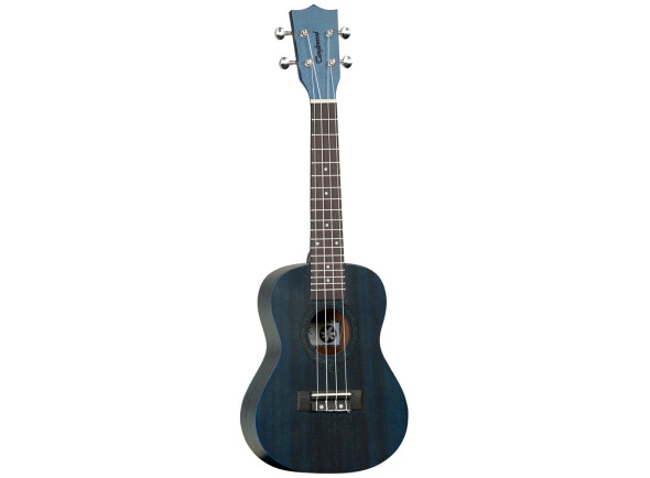 tanglewood-twt3-tb-tiare-thru-blue-satin_654bc851af706.jpg