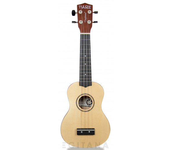 tanglewood-twtsp-na_605b7bfd114f2.jpg