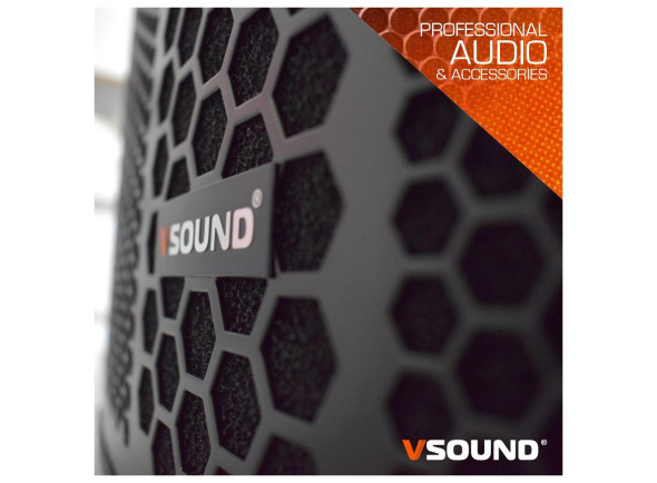 vsound-coluna-amplificada-2x15_67178021a4020.jpg