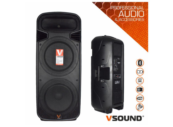 vsound-vss215-2x15_6996d58d4aa48.jpg