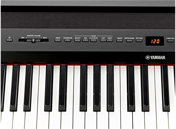 yamaha-p-255_563dda6795bf9.jpg