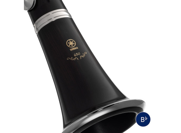 yamaha-ycl-650_63247a01b12a2.jpg