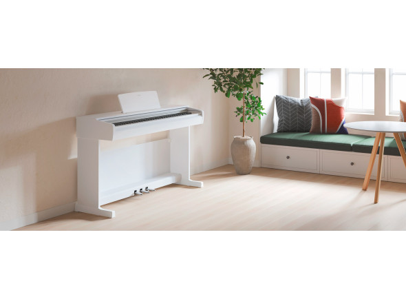 yamaha-ydp-146-wh-arius_6a8ffadfd3192.jpg