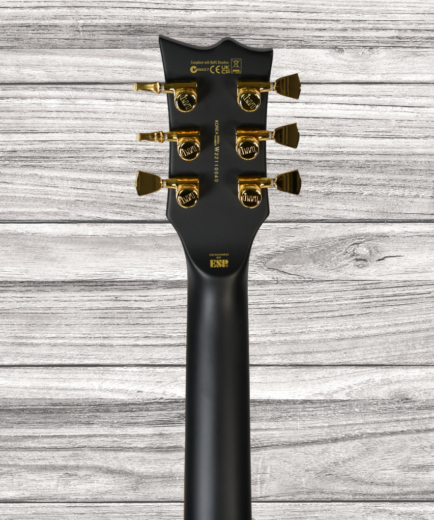 esp-ltd-ec-1000-vintage-black_6421a11f9580b.png