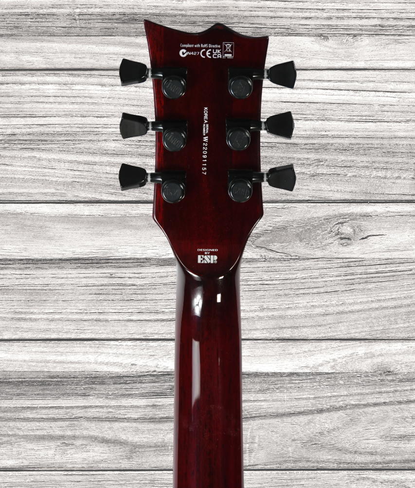 esp-ltd-viper-1000-black-cherry_6421b38c490aa.jpg