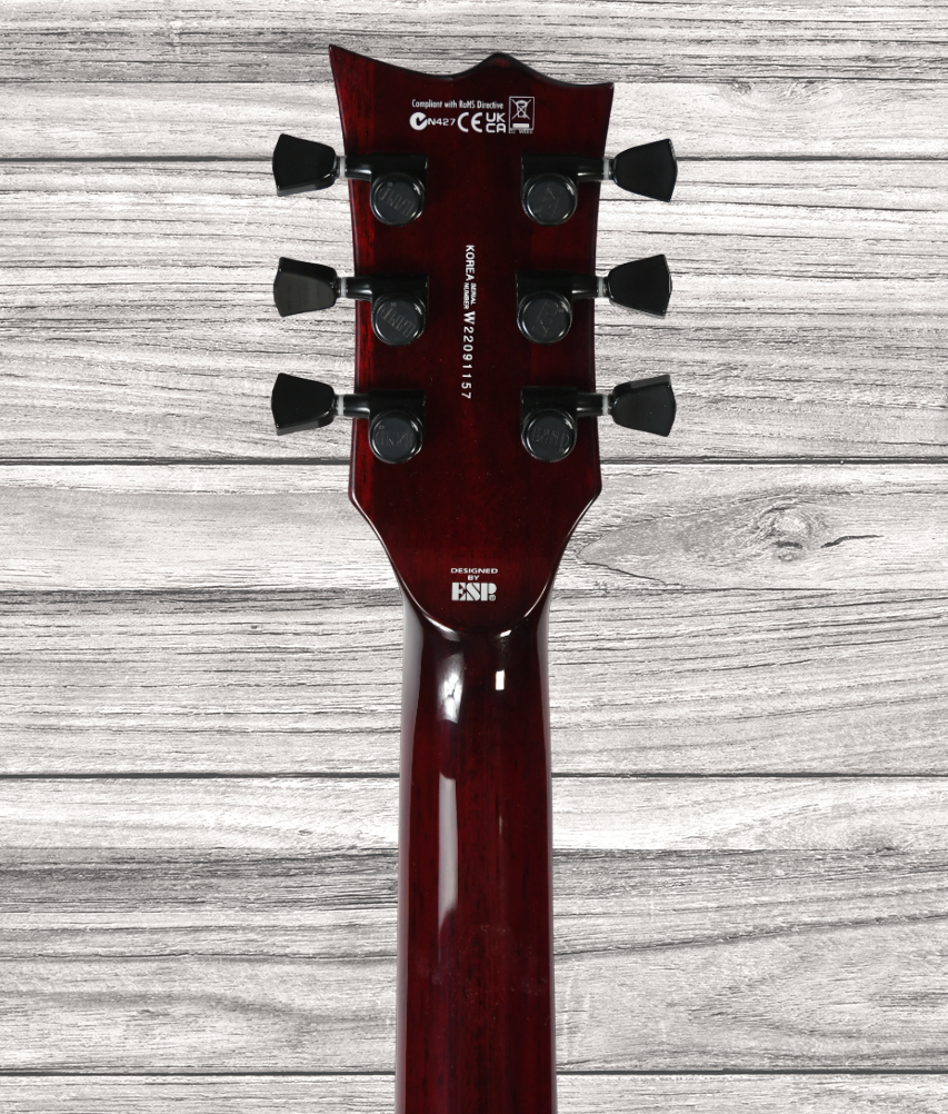 esp-ltd-viper-1000-black-cherry_6421b38c490aa.png