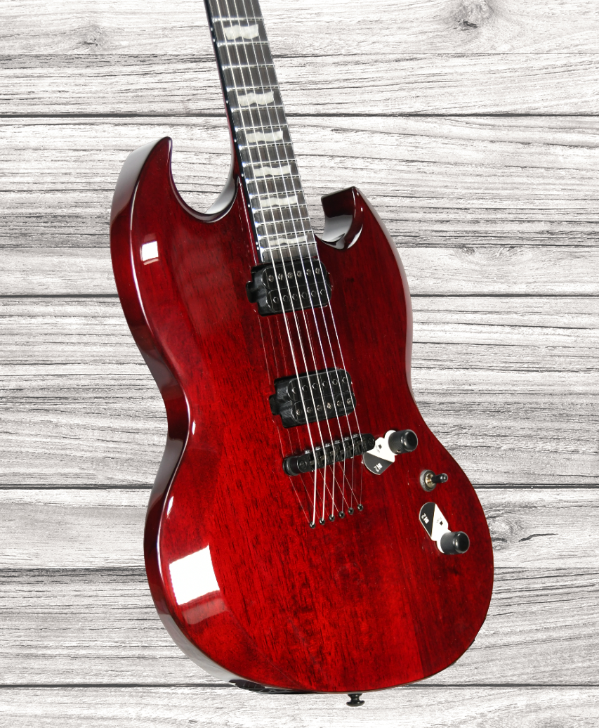 esp-ltd-viper-1000-black-cherry_6421b3c8c39e8.png