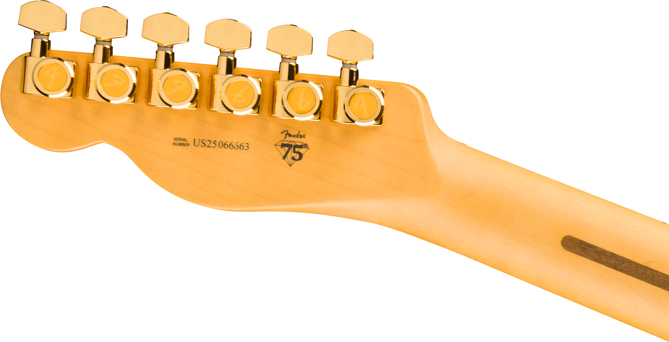 fender-75th-anniversary-american-professional-custom-telecaster-maple-fingerboard-2-color-sunburst_69a0841f183a9.jpg