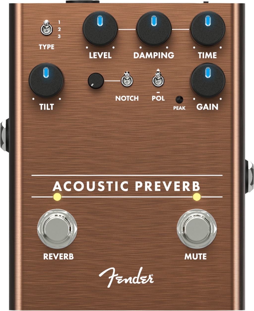 fender-acoustic-preverb_5f8dbe1792192.jpg