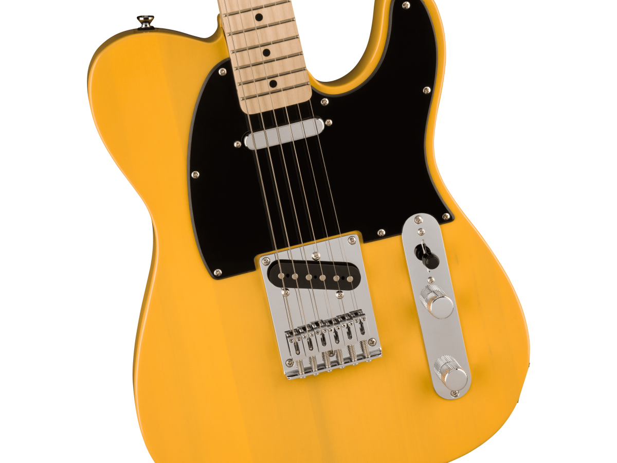 fender-am-pro-ii-tele-mn-btb_65c506fcf0b48.png