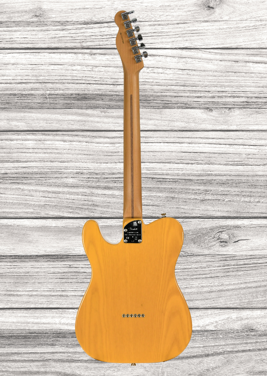 fender-am-pro-ii-tele-mn-btb_667c1818972ae.jpg