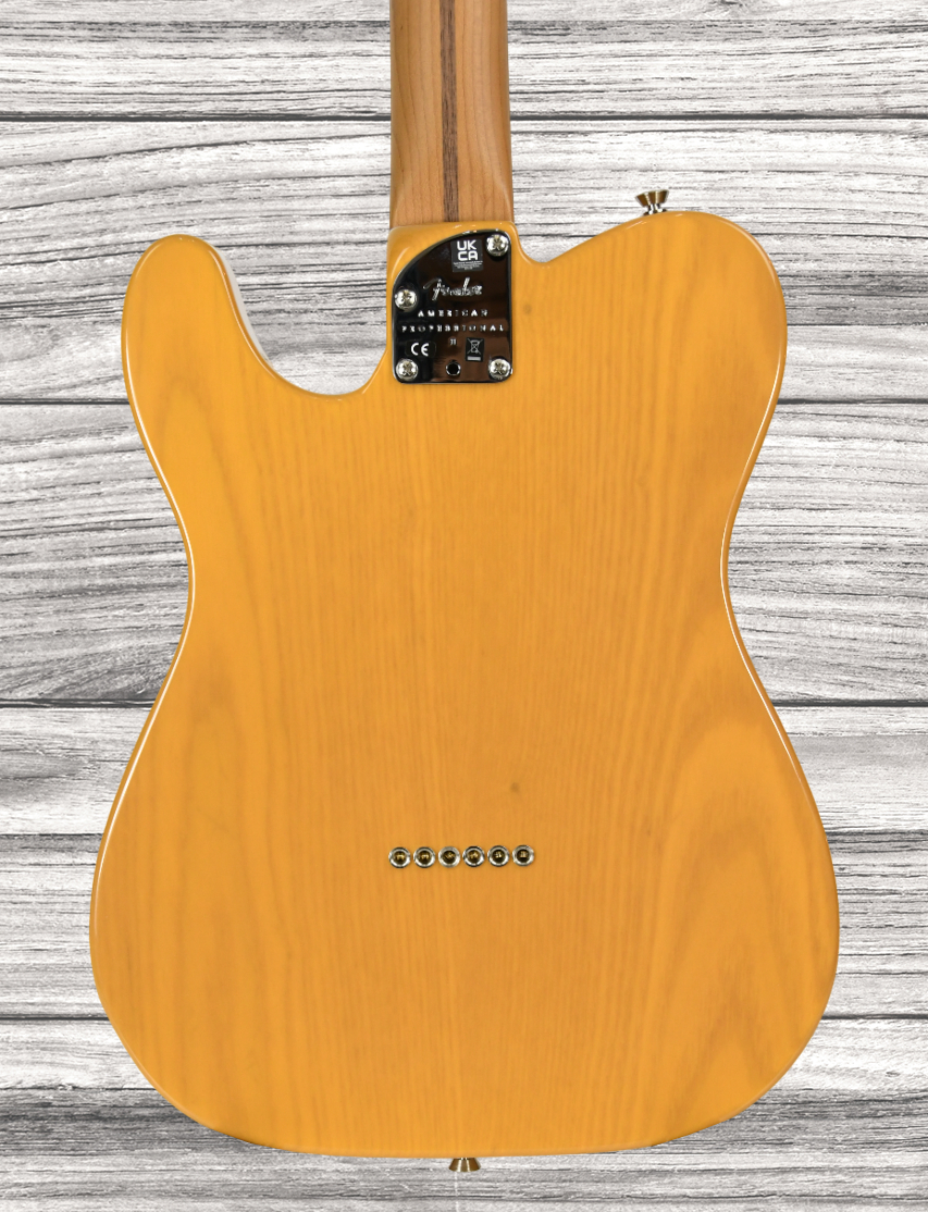 fender-am-pro-ii-tele-mn-btb_667c181cab4ff.jpg