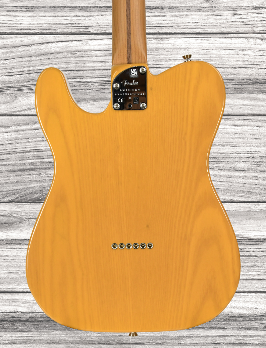 fender-am-pro-ii-tele-mn-btb_667c181cab4ff.png