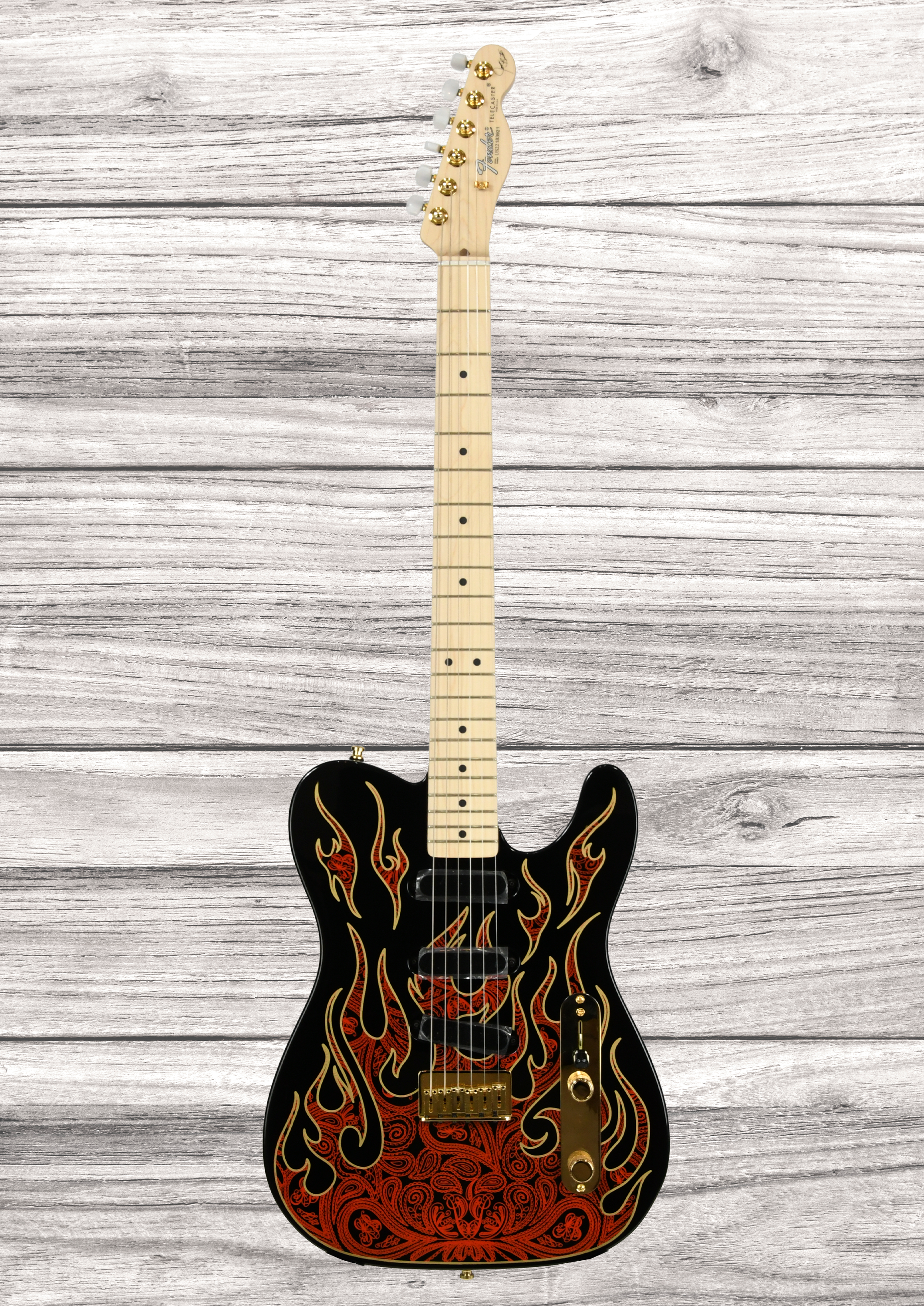 fender-american-james-burton-limited-edition-maple-fingerboard-red-paisley-flames_6908d0cba8475.png